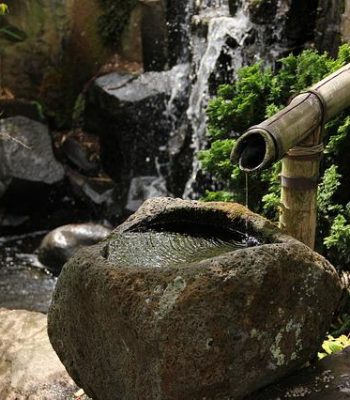 caña-piedra-con-agua-estudio-zubiria